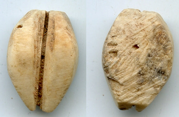 Ancient bone cowrie-coin (no teeth/holes), W.Zhou, 1046-771 BC, China (Schjoth#A7)