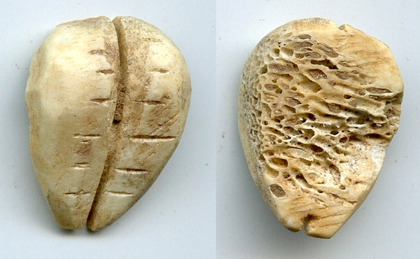 Ancient bone cowrie-coin (teeth/no holes), W.Zhou, 1046-771 BC, China
