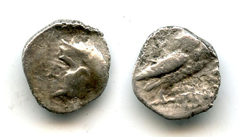Unlisted type "owl" AR 1/4 unit, c.350-150 BC, Saba' or Qataban, Arabia