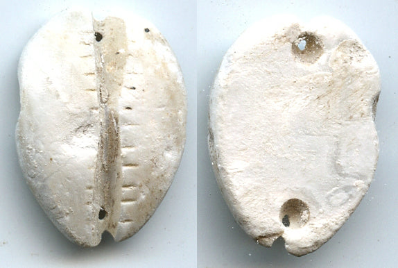 Rare mother of pearl cowrie-coin, W.Zhou dynasty (1046-771 BC), China - Hartill #1.2