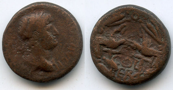 AE23 of Hadrian (117-138 AD) from Berytus, Phoenicia, Roman Provincial Issue