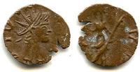 Ancient barbarous antoninianus with DIVO on obverse, Tetricus II (minted ca.270-280 AD), PAX type, Ancient Gaul