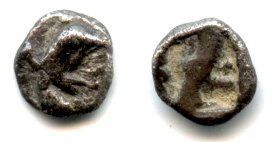 Ancient Greek silver 1/4 obol or tetartemorion, Teos, Ionia, ca. 540-478 BC - head of a griffin right
