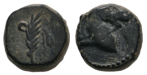 Rare AE10 of the Roman client King Archelaus (?) (ca. 36-14 AD), Cappadocia