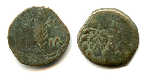 Bronze prutah of Valerius Gratus (15-26 AD), year 11 (24 AD), Procurators of Judea
