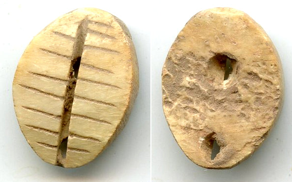 Primitive bone cowrie-shell coin, Zhou dynasty (1046-771 BC), China - Hartill #1.2