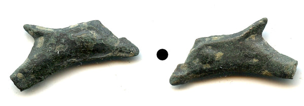 Ancient AE22 dolphin-shaped coin, Olbia, Sarmatia, 500-350 BC, Greece