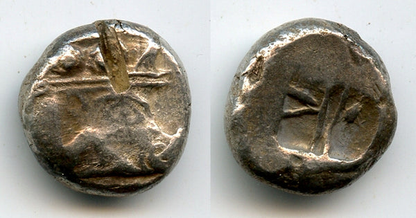 Archaic silver stater (prow right), Phaselis in Caria, c.530-500 BC, Ancient Greece