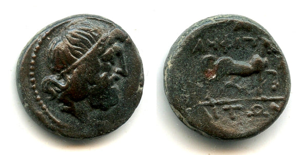 AE17 from Amphipolis, ca. 148-132 BC, Macedonian Kingdom