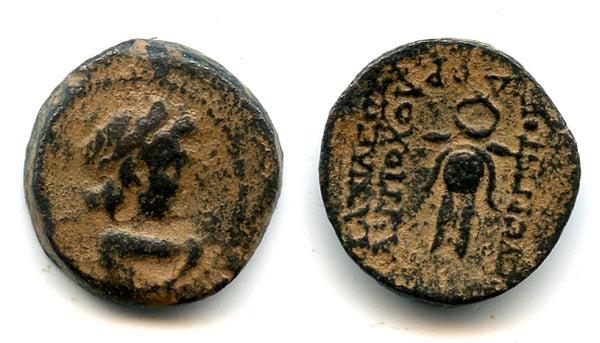 AE18 of Antiochus VII (138-129 BC), Seleucid Empire