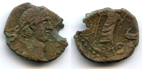 Rare AE20 of Domitian (81-96 AD) from Askalon, Judea - Roman Provincial city coin