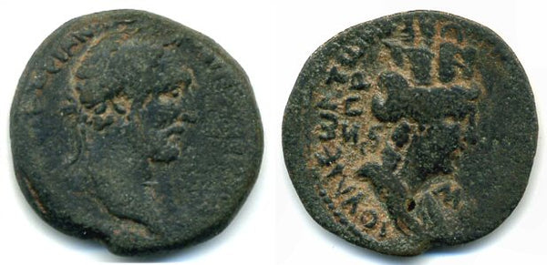 AE25 of Antoninus Pius (138-161 AD) from Laodiceia ad Mare, Syria