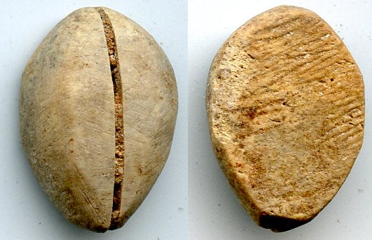 Authentic bone cowrie-shell coin, Western Zhou dynasty (1046-771 BC), China - Hartill #1.2