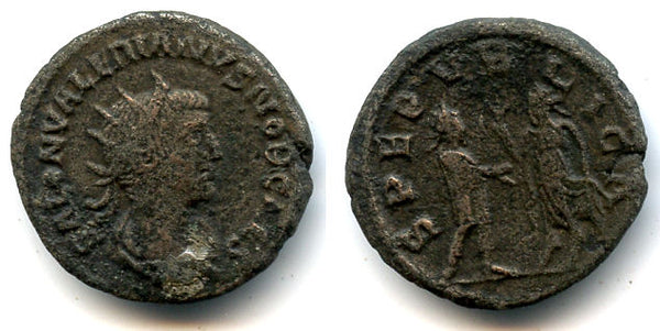 Rare silver antoninianus of Saloninus (258-260 AD), Antioch mint, Roman Empire