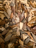 Stone arrowheads, North Africa, Paleolithic/Neolithic period, c.10000-3000 BC ($4 each)