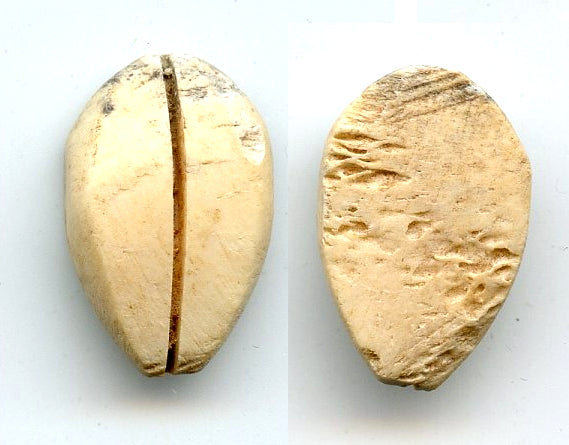 Ancient bone cowrie-coin (no teeth/holes), W.Zhou, 1046-771 BC, China (Schjoth#A7)