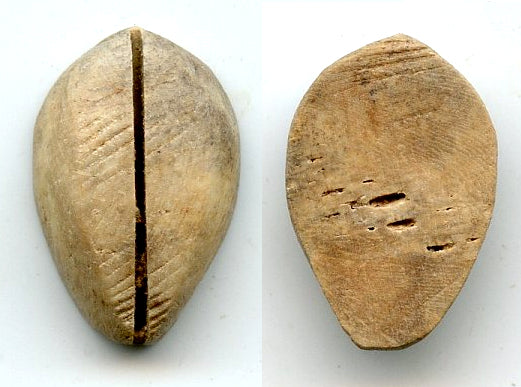 Ancient bone cowrie-coin (no teeth/holes), W.Zhou, 1046-771 BC, China (Schjoth#A7)