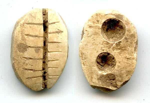 Ancient bone cowrie-coin (teeth and two holes), W.Zhou, 1046-771 BC, China