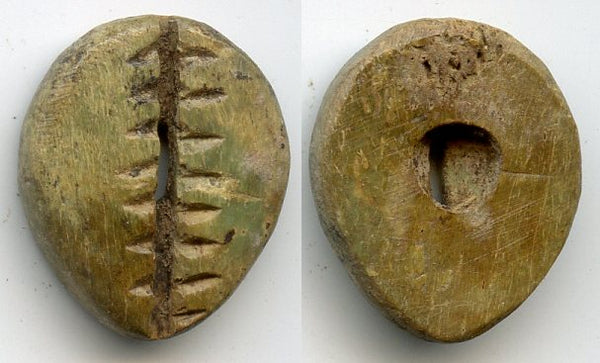 Rare greenish bone cowrie-coin, W.Zhou dynasty (1046-771 BC), China - Hartill #1.2