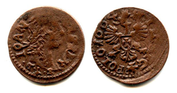 Nice copper solidus, 1664, Johann II Casimir (1648-1668), Poland