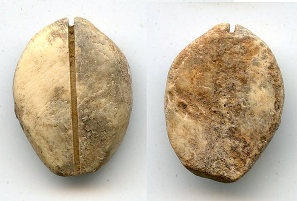 Ancient bone cowrie-coin (no teeth/holes), W.Zhou, 1046-771 BC, China (Schjoth#A7)