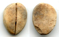 Ancient bone cowrie-coin (no teeth/holes), W.Zhou, 1046-771 BC, China (Schjoth#A7)