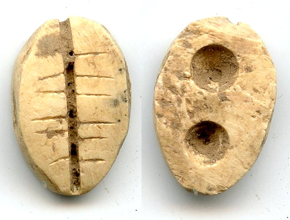 Ancient bone cowrie-coin (teeth and two holes), W.Zhou, 1046-771 BC, China