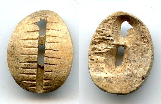 Ancient bone cowrie-coin (teeth and two holes), W.Zhou, 1046-771 BC, China