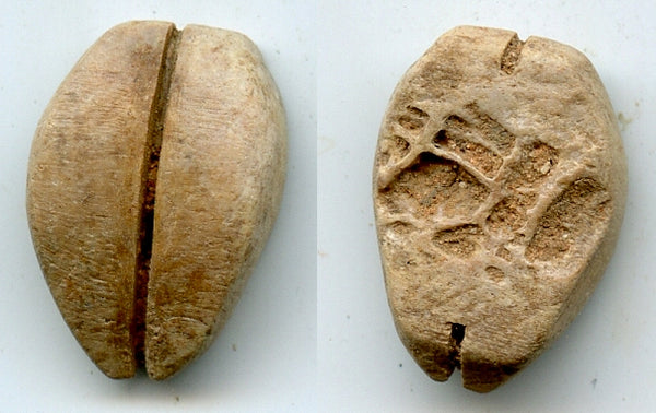 Ancient bone cowrie-coin (no teeth/holes), W.Zhou, 1046-771 BC, China (Schjoth#A7)