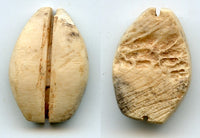 Ancient bone cowrie-coin (no teeth/holes), W.Zhou, 1046-771 BC, China (Schjoth#A7)