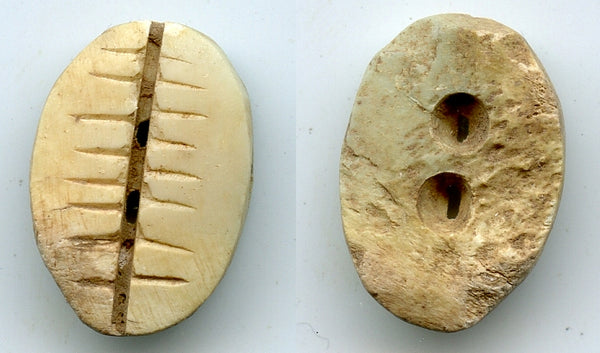 Ancient bone cowrie-coin (teeth and two holes), W.Zhou, 1046-771 BC, China