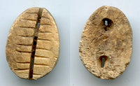 Ancient bone cowrie-coin (teeth and two holes), W.Zhou, 1046-771 BC, China
