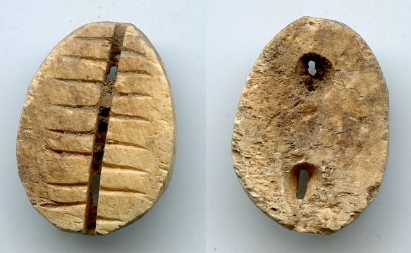 Ancient bone cowrie-coin (teeth and two holes), W.Zhou, 1046-771 BC, China