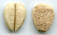 Ancient bone cowrie-coin (teeth/no holes), W.Zhou, 1046-771 BC, China