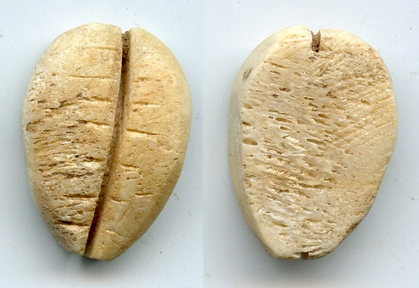 Ancient bone cowrie-coin (teeth/no holes), W.Zhou, 1046-771 BC, China
