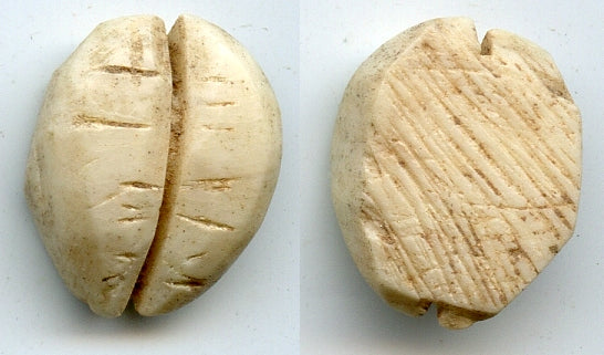 Ancient bone cowrie-coin (teeth/no holes), W.Zhou, 1046-771 BC, China