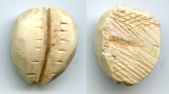 Ancient bone cowrie-coin (teeth/no holes), W.Zhou, 1046-771 BC, China