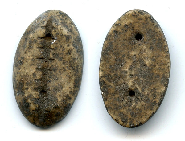 RR authentic large jade cowrie coin, W. Zhou (1046-771 BC), N. China