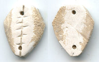 Rare authentic white stone cowrie coin, W. Zhou (1046-771 BC), N. China