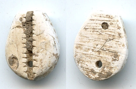 Rare authentic white stone cowrie coin, W. Zhou (1046-771 BC), N. China