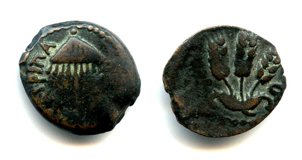 Bronze prutah of Herod Agrippa I (37-43 AD), Jerusalem, Ancient Judaea