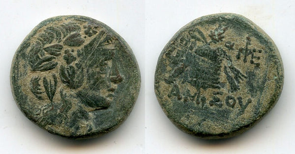 Nice AE20 of Mithradates VI (120-63 BC), Amisos, Kingdom of Pontus