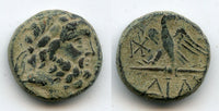Nice AE19 of Mithradates VI (120-63 BC), Dia, Bythinia, Kingdom of Pontus