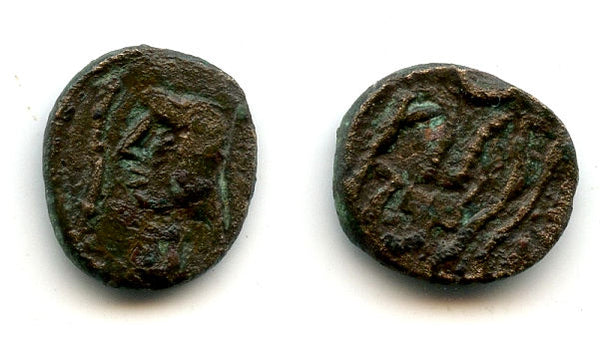 Rare copper "Bucranium" coin, 100-300 AD, Himyarite Kingdom, Arabia Felix