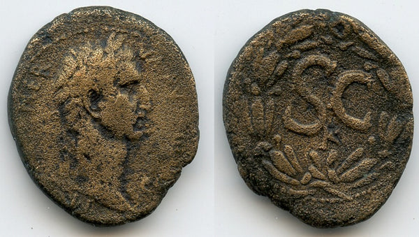Large AE29 of Nerva (96-98 AD), Antioch, Roman Provincial coinage (BMC 265)