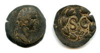 Large AE29 of Nerva (96-98 AD), Antioch, Roman Provincial coinage (BMC 259)