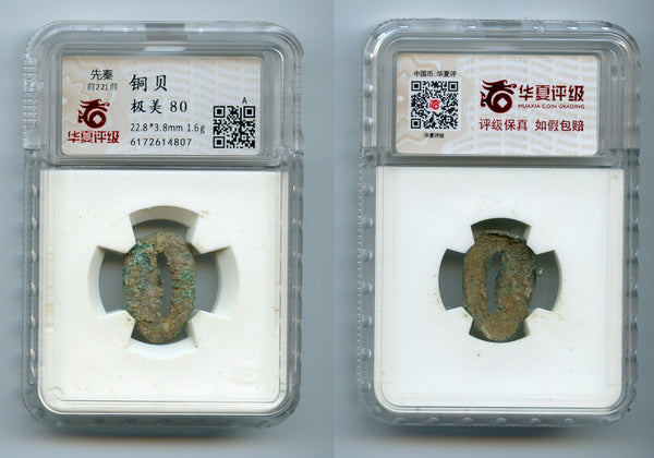 Certified bronze cowrie coin - earliest coinage of China! W.Zhou (1046-771 BC) H#1.3