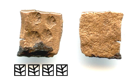 Rare AE 2-mashaka punchmark w/4 punches, 185-73 BC, Vidisha?, Sungas, India