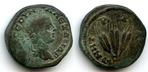 AE21 of Alexander Severus (222-35 CE), Caesarea, Cappadocia, Roman Provincial coinage