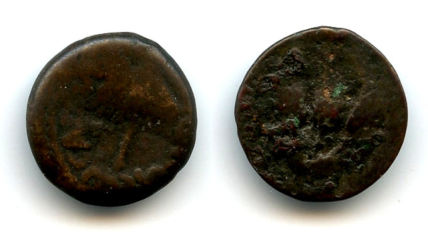Bronze prutah of Herod Agrippa I (37-43 AD), Jerusalem, Ancient Judaea